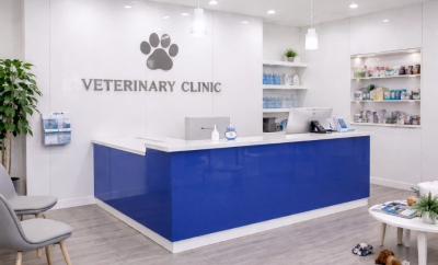 Upgrading Your Kennel or Cattery? Here’s Why PVC Wins
